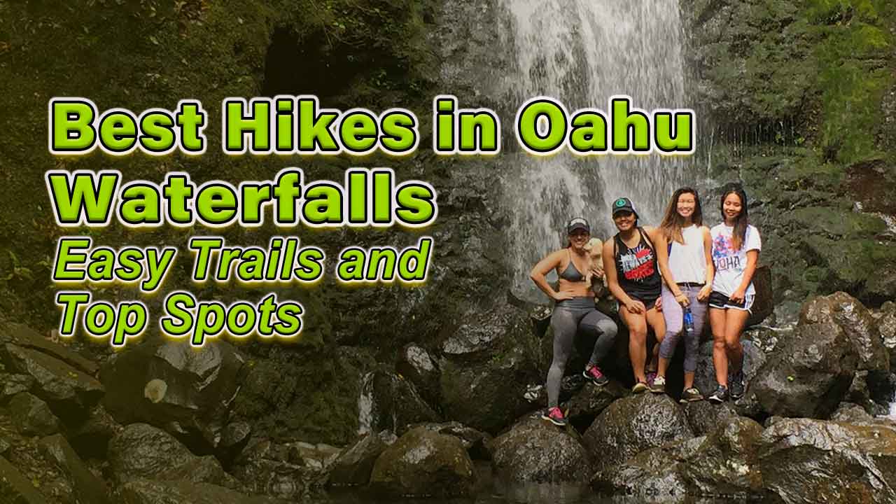 Best Hikes in Oahu Waterfalls Easy Trails and Top Spots
