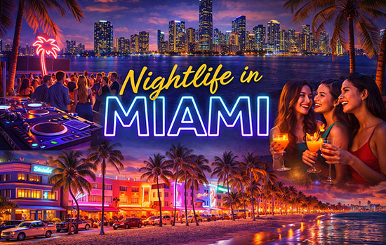 Your Complete Guide to Miami’s Nightlife Scene and After-Dark Experiences